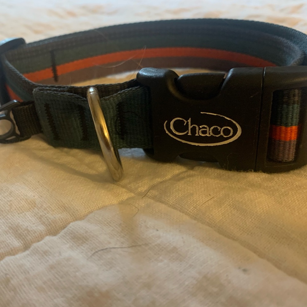 Large Chaco Striped dog collar
